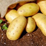 potatoes आलू में क्या पाया जाता है